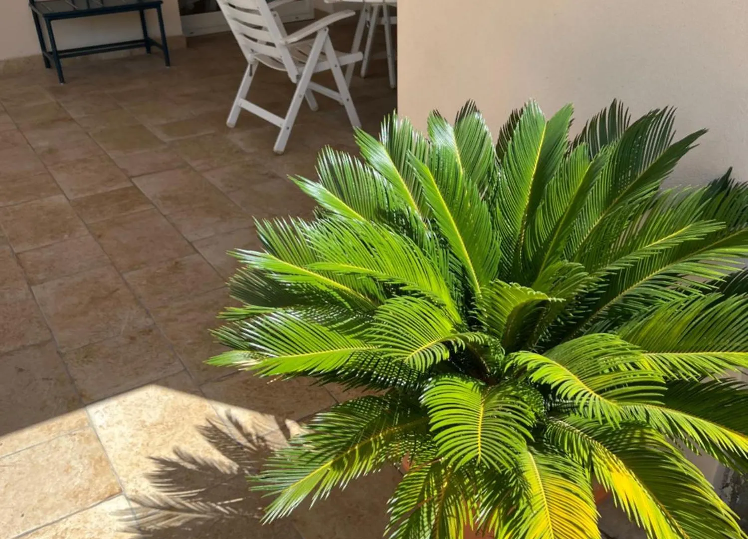 Villa Valentina Cefalu